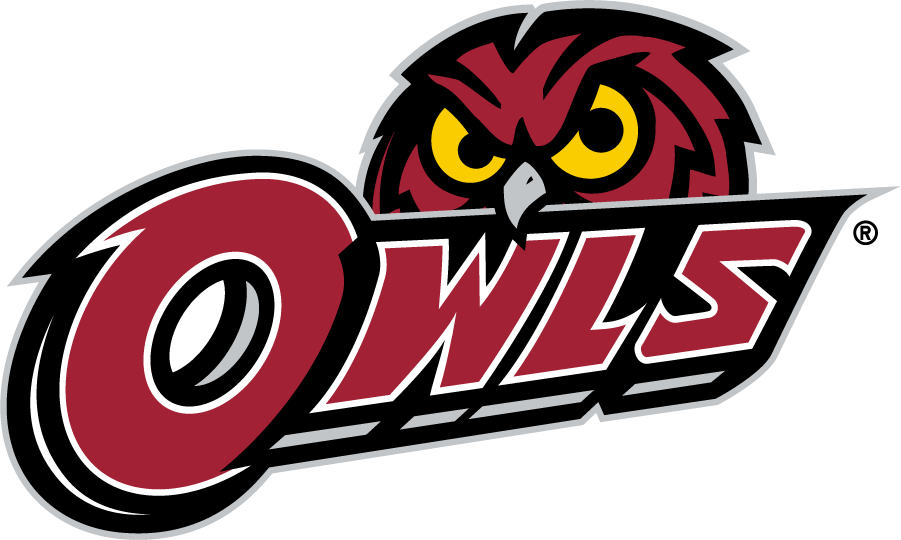 Temple Owls 2014-2020 Secondary Logo v2 DIY iron on transfer (heat transfer)